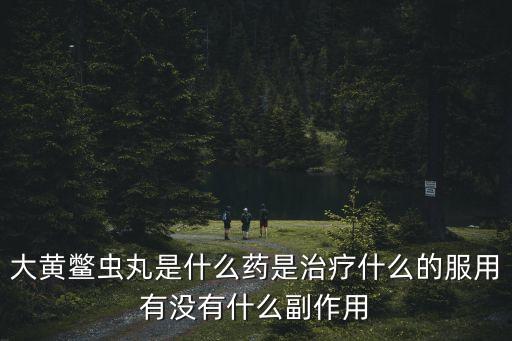 大黃庶蟲丸，北京同仁堂 大黃庶蟲丸