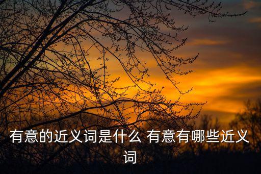 有意的近義詞是什么 有意有哪些近義詞
