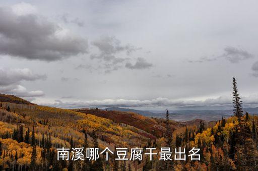 南溪豆腐干，南溪在哪里豆腐干是不是南溪的特產