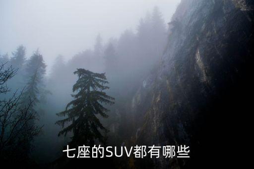 七座的SUV都有哪些