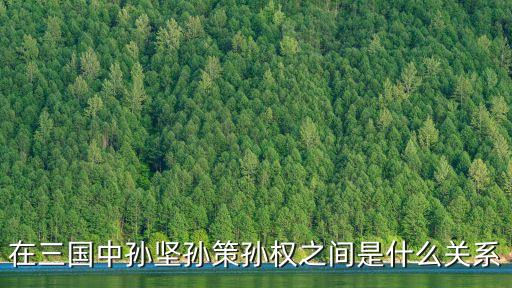 在三國中孫堅孫策孫權之間是什么關系