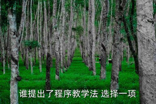 程序教學法，誰提出了程序教學法 選擇一項