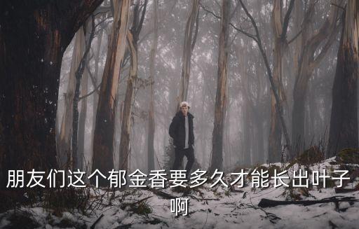 郁金香多久發(fā)芽，三月十九日種郁金香幾天發(fā)芽
