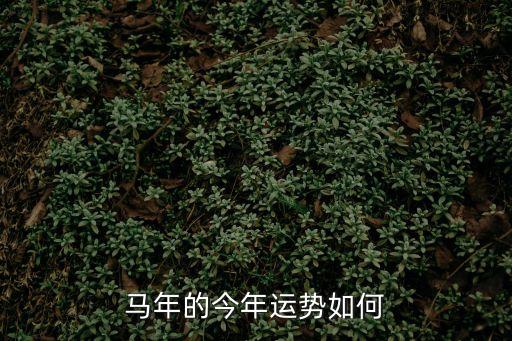 馬年運程，馬年運氣如何呢