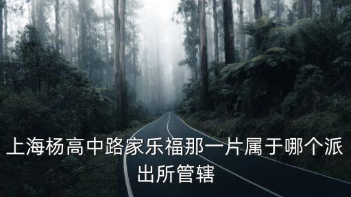 上海楊高中路家樂福那一片屬于哪個派出所管轄