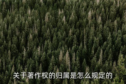 關于著作權的歸屬是怎么規定的