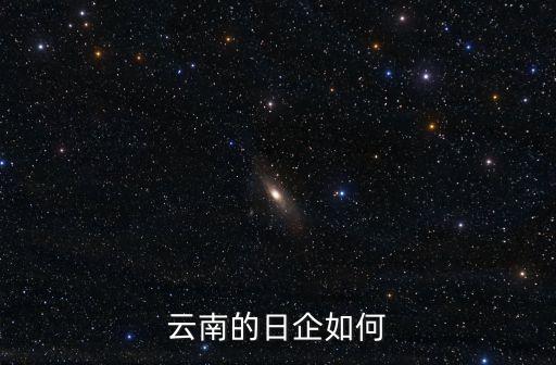 日本企業，云南的日企如何