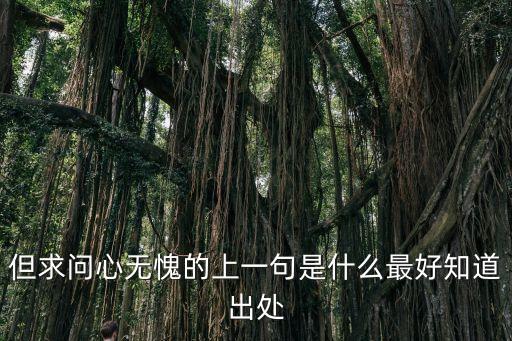 但求問心無愧的上一句是什么最好知道出處