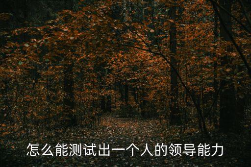 怎么能測試出一個人的領導能力