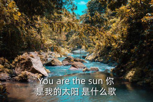 You are the sun 你是我的太陽 是什么歌