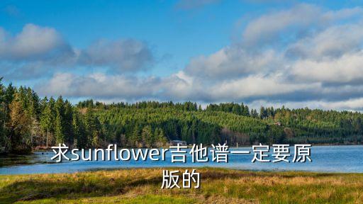求sunflower吉他譜一定要原版的
