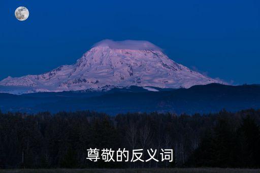 尊敬的反義詞