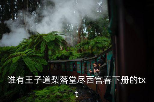 王子道，誰有王子道梨落堂盡西宮春下冊的txt