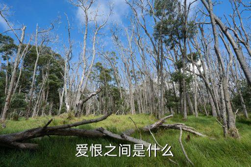 愛恨之間是什么