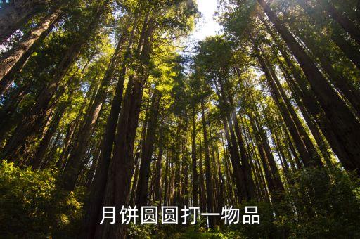 月餅圓圓打一物品