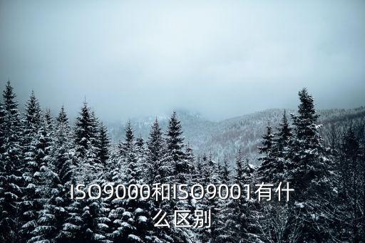 ISO9000和ISO9001有什么區(qū)別