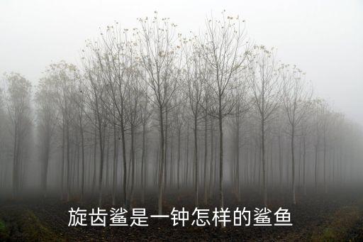 旋齒鯊是一鐘怎樣的鯊魚