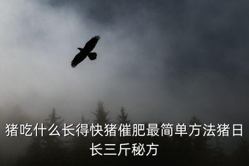 豬催肥最簡單方法，豬快速催肥的方法