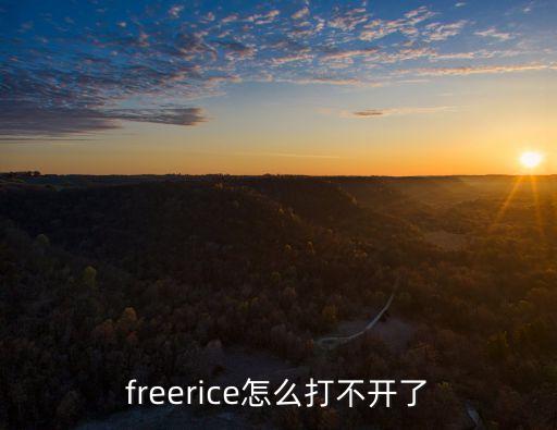 freerice怎么打不開(kāi)了