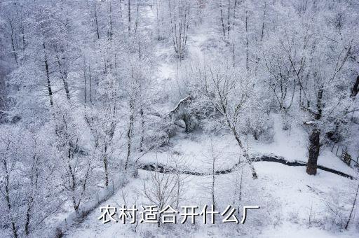 農(nóng)村辦廠，農(nóng)村適合開(kāi)什么廠