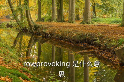 rowprovoking 是什么意思