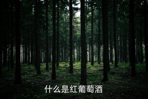 什么是紅葡萄酒