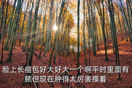 臉上長痘包好大好大一個啊平時里面有膿但現在腫得太厲害摸著