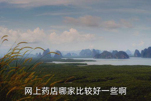 網(wǎng)上藥店哪家比較好一些啊