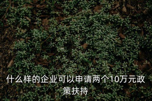 政策扶持，創業投資企業管理暫行辦法的第四章 對創業投資企業的政策扶持