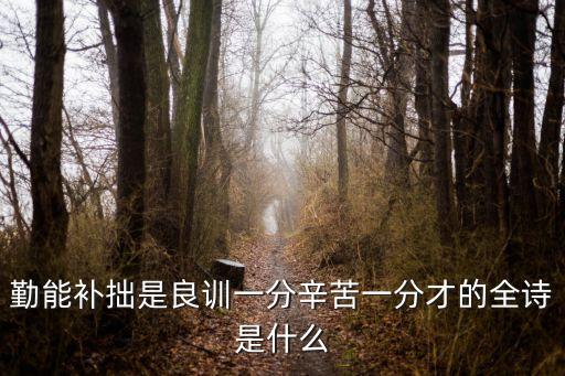 勤能補拙是良訓，勤能補拙是良訓一分辛苦一分才中良訓和才分別是什么意思