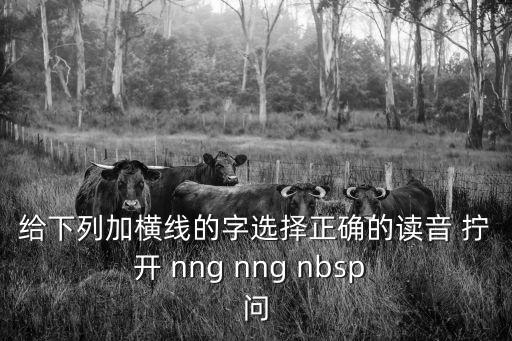 給下列加橫線的字選擇正確的讀音 擰 開 nng nng nbsp  問