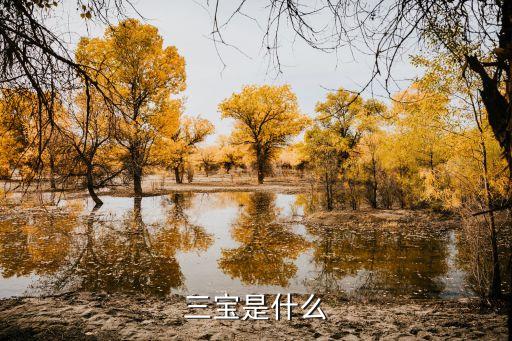 三寶是什么，什么是三寶啊