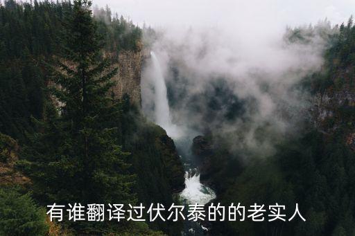 老實(shí)人伏爾泰，有誰翻譯過伏爾泰的的老實(shí)人