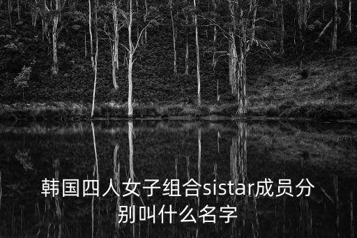 姜智賢，韓國組合sistar的圖片我有點分不清誰是誰