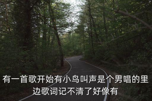 有一首歌開始有小鳥叫聲是個男唱的里邊歌詞記不清了好像有