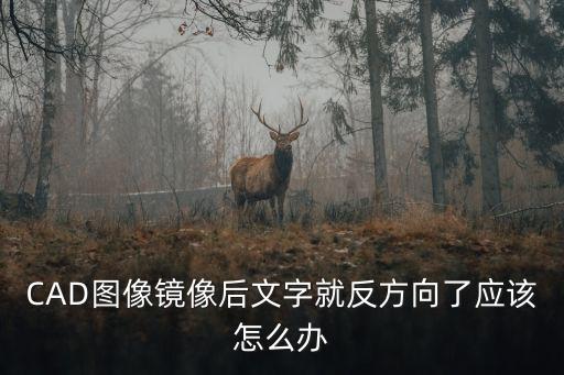 CAD圖像鏡像后文字就反方向了應(yīng)該怎么辦