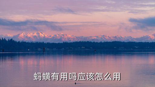 水蛭怎么樣，螞蟥有用嗎應(yīng)該怎么用