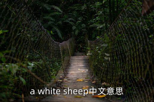 a white sheep中文意思