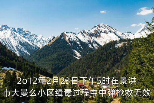 2o12年2月23日下午5時在景洪市大曼么小區(qū)緝毒過程中中彈搶救無效