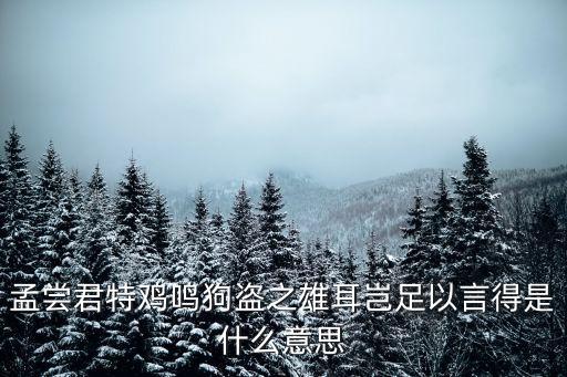 孟嘗君雞鳴狗盜，孟嘗君特雞鳴狗盜之雄耳豈足以言得是什么意思