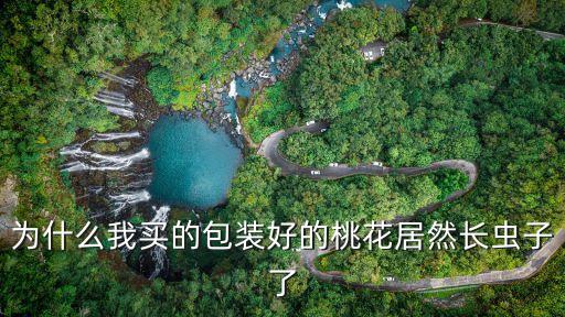 為什么我買的包裝好的桃花居然長蟲子了