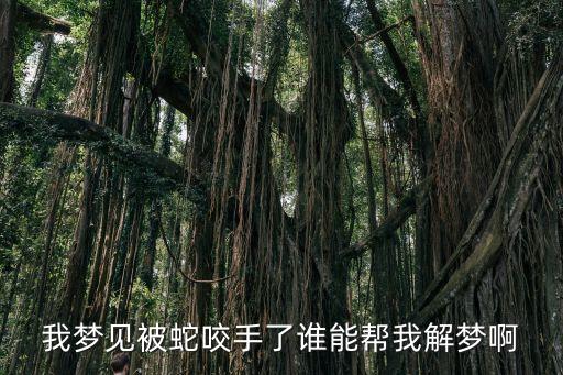 夢到被蛇咬到手，晚上夢見手被蛇咬