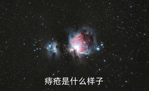 痔瘡長什么樣子的圖片，痔瘡長什么樣的