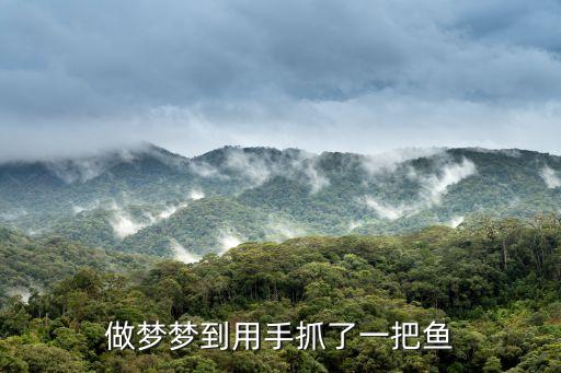 夢見自己用手抓到活魚，夢見手里抓著一條小活魚