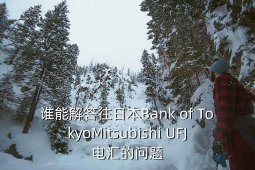 誰能解答往日本Bank of TokyoMitsubishi UFJ電匯的問題
