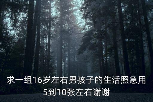 求一組16歲左右男孩子的生活照急用5到10張左右謝謝
