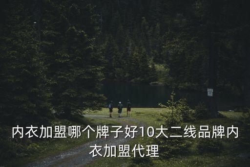 內衣加盟哪個牌子好10大二線品牌內衣加盟代理