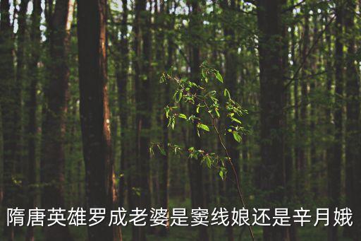 辛月娥，隋唐英雄羅成老婆是竇線娘還是辛月娥