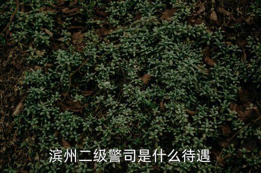 濱州二級警司是什么待遇