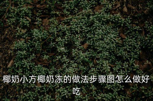 椰奶小方椰奶凍的做法步驟圖怎么做好吃